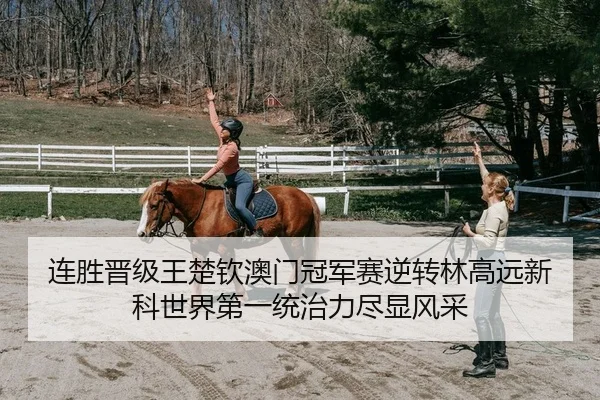 连胜晋级王楚钦澳门冠军赛逆转林高远新科世界第一统治力尽显风采