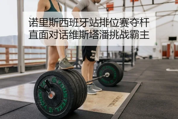 nuo-li-si-xi-ban-ya-zhan-pai-wei-sai-duo-gan-zhi-mian-dui-hua-wei-si-ta-pan-tiao-zhan-ba-zhu-2-931.jpg